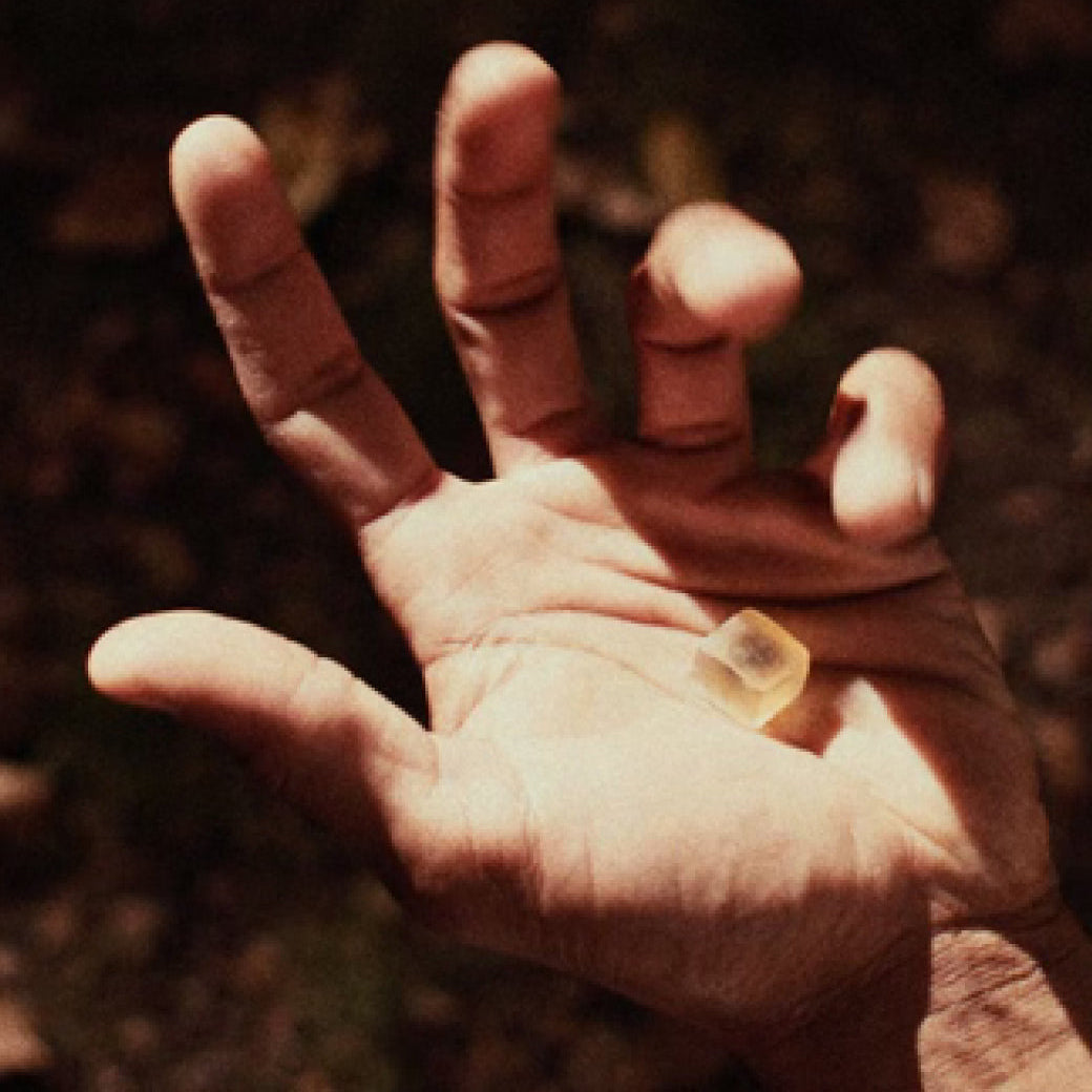 Hand holding a small yellow object against a blurred natural background