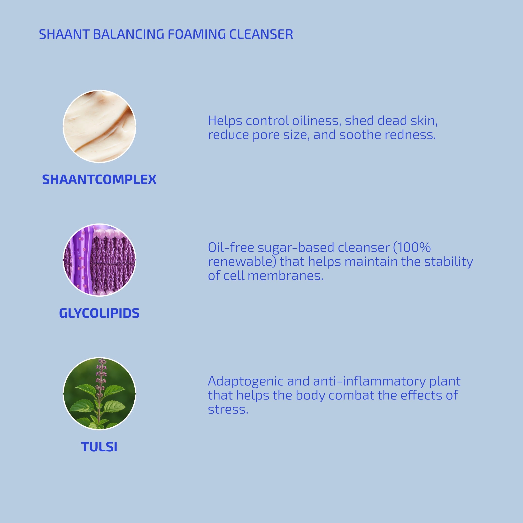 Shaant Balancing Foaming Cleanser
